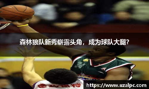 欧博ABG下载