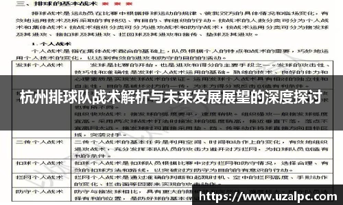杭州排球队战术解析与未来发展展望的深度探讨