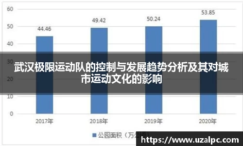 武汉极限运动队的控制与发展趋势分析及其对城市运动文化的影响