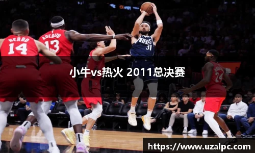小牛vs热火 2011总决赛