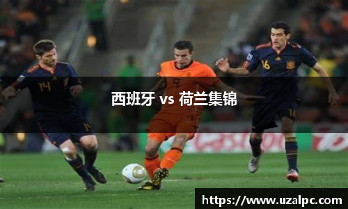 西班牙 vs 荷兰集锦