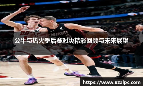 公牛与热火季后赛对决精彩回顾与未来展望