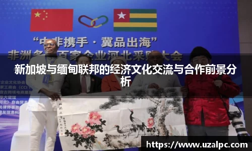 新加坡与缅甸联邦的经济文化交流与合作前景分析