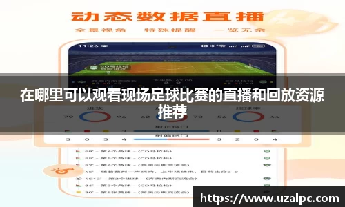 在哪里可以观看现场足球比赛的直播和回放资源推荐