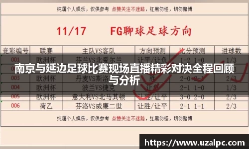 南京与延边足球比赛现场直播精彩对决全程回顾与分析