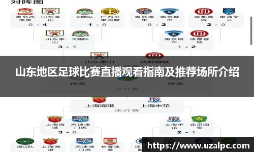 山东地区足球比赛直播观看指南及推荐场所介绍