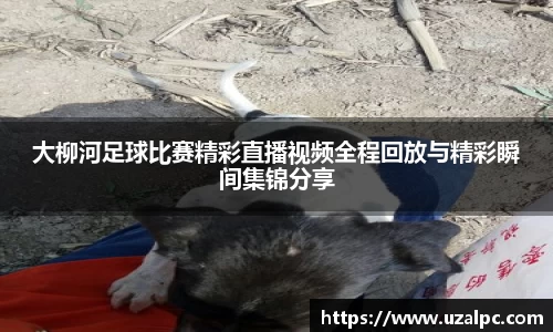 大柳河足球比赛精彩直播视频全程回放与精彩瞬间集锦分享