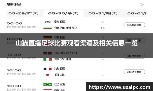 山猫直播足球比赛观看渠道及相关信息一览