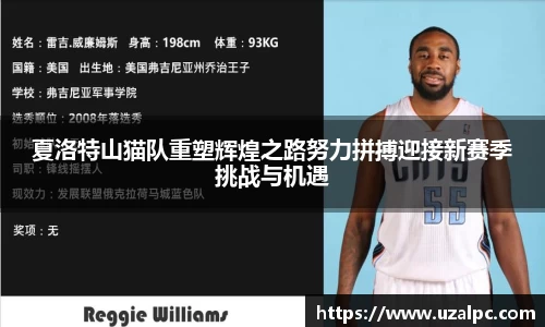 夏洛特山猫队重塑辉煌之路努力拼搏迎接新赛季挑战与机遇